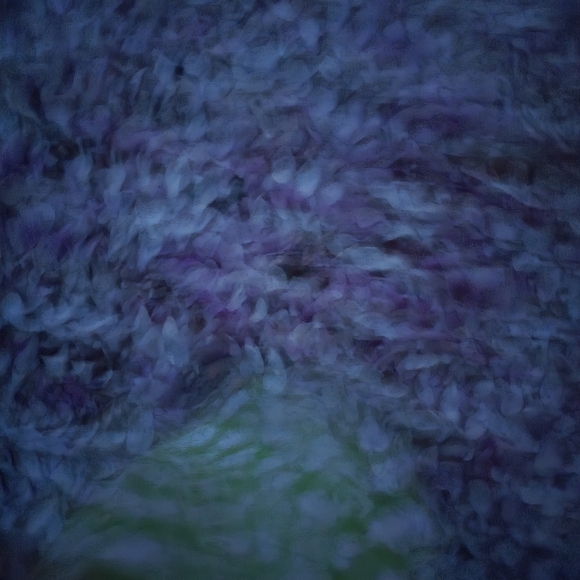 Meet your Posher, Sandra - Picture 8 of 9